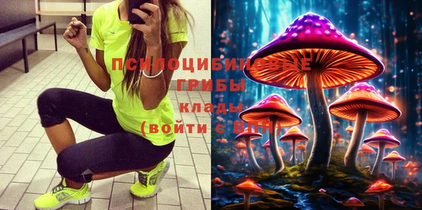 мдма Инта