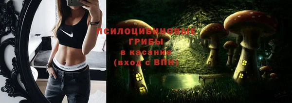 мдма Инта