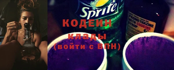 мдпв Иннополис
