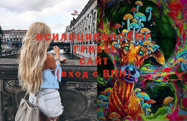 мдпв Иннополис