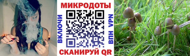 Псилоцибиновые грибы ЛСД  Таштагол 